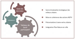 Mutualisation de la base de données