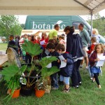 Enquête au Stand Botanic