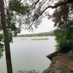 Les radeaux des enfants depuis le lieu définitif : sous la butte du chanoine Kir.