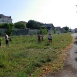 Réalisation d'un inventaire écologique