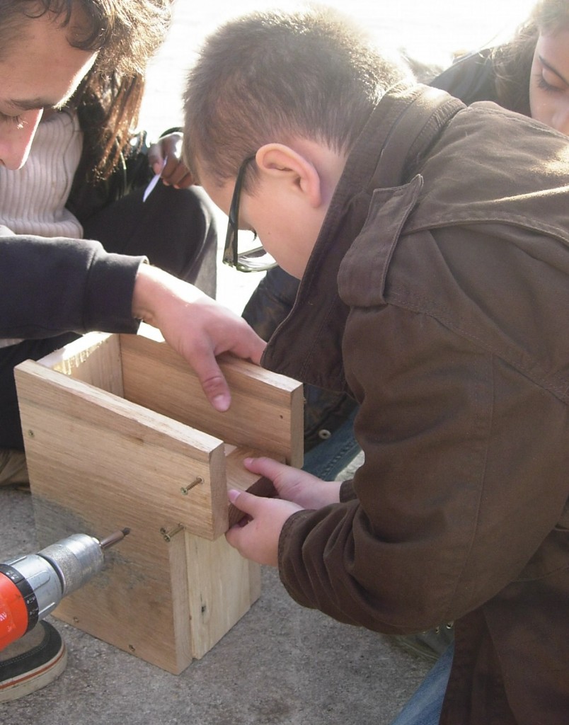 Construction des nichoirs