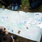 Tapis des habitats et des oiseaux du bois du ru de Pouilly