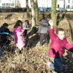 Collecte nature dans le sous-bois