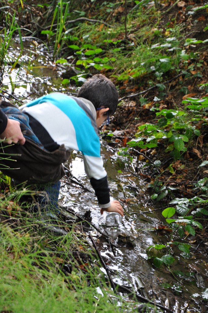 Prélèvement d'eau dans la rivière