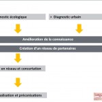 diapos présentation ndtv - réseau et recherche > méthode