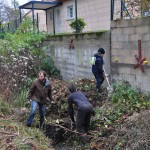 enlèvement des tontes du voisinage qui polluent la rivière