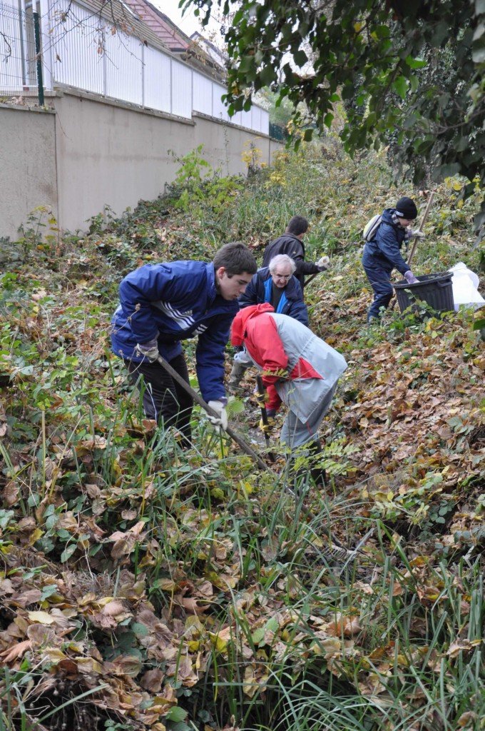 Chantier nature