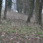 L'autre gabion est installé dans le sous-bois.