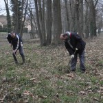 L'autre gabion est installé dans le sous-bois.