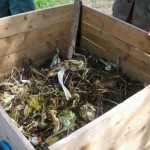 Apport de matière fraîche au compost