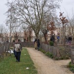 plantation dans les bosquets forestiers - heudelet26