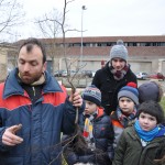 savoir comment tailler les racines et les branches