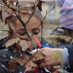 un hêtre, pour arbre de la liberté