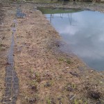 On peut apercevoir le long de la ligne d'eau des "plages", zones de nourrissage des oiseaux.